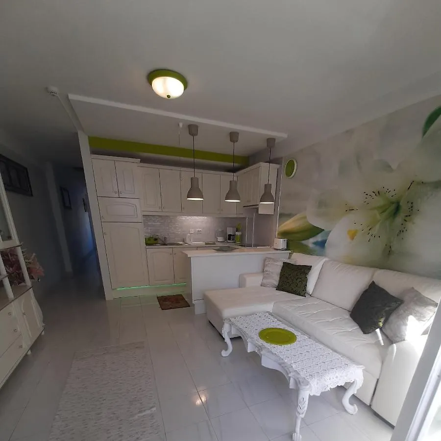 Bright Apartment With Ocean View Playa de las Américas Spanien